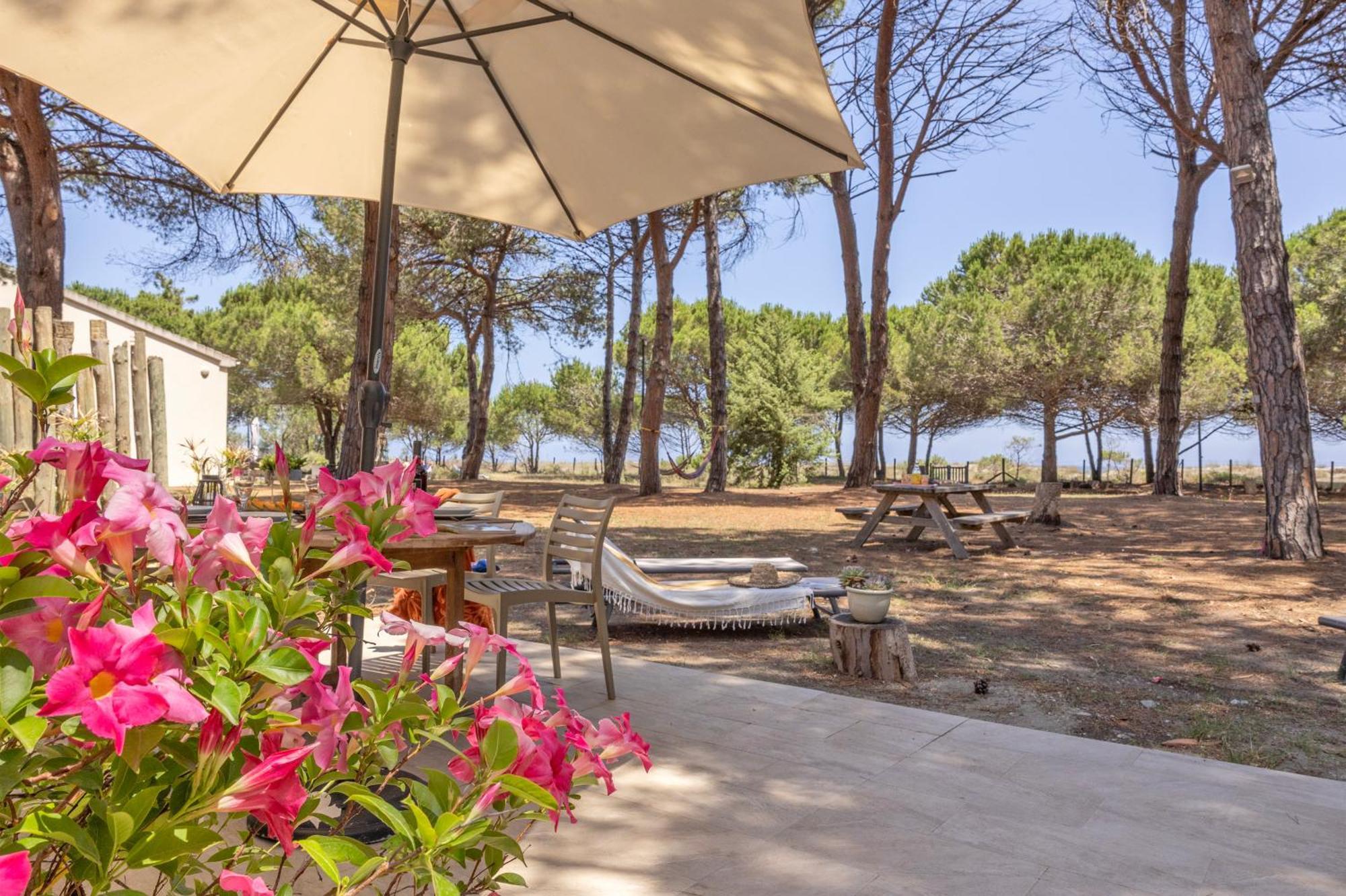 Holiday home Maisons Bord De Mer- Marine De Sorbo - 3 Epis Pinarellu (Corsica)